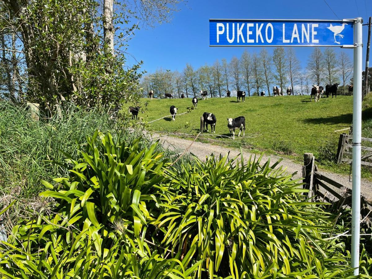 陶朗加Pukeko Lane公寓 外观 照片